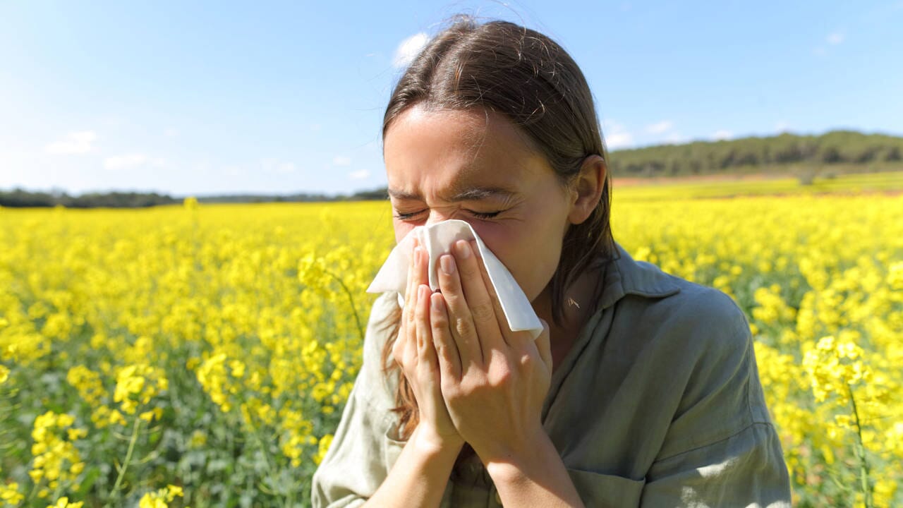 MedicAir Air Purifier for hay fever sufferers